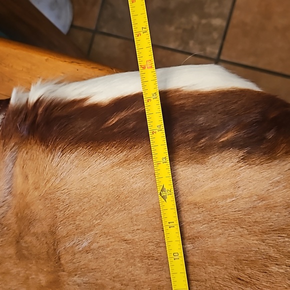 Vintage 90's WILSON'S Springbok Hyde Fur and Leather Satchel Purse. - Picture 6 of 8